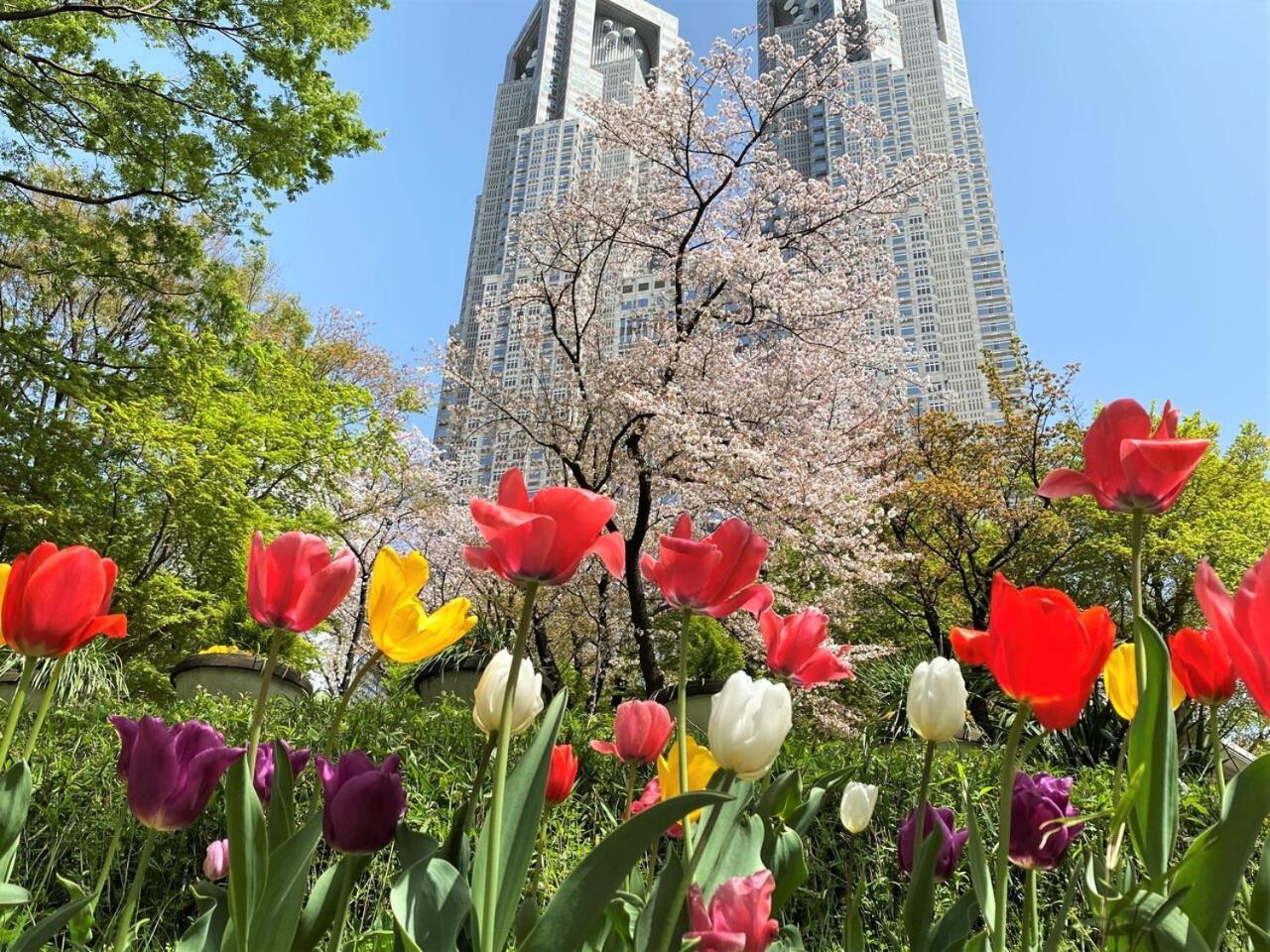 Apa Hotel Shinjuku Kabukicho Chuo Tokyo Luaran gambar